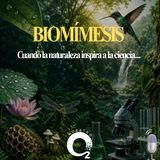 NUESTRO OXÍGENO Biomímesis
