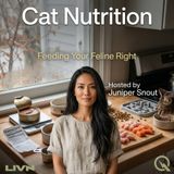 Cat Nutrition - Portions, Puzzles, and the Perfect Feeding Schedule