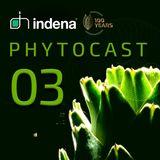 Phytocast 03: Scientific dissemination