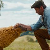Subculture Film Reviews - THE SHEEP DETECTIVES (Kyle's Review)