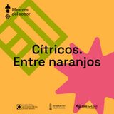 Ep. 4 - Cítricos. Entre naranjos
