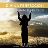 "Divina Perfección Ante Las Pérdidas"
