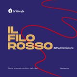 Cibi ultra-processati: le normative che sgretolano l'etichetta