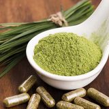 The Ultimate Guide to Growing Kratom