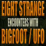 Eight Strange Encounters with Bigfoot / UFOs