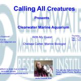 Calling All Creatures Presents Clearwater Marine Aquarium