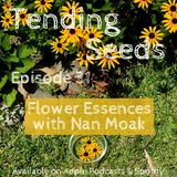 Ep 31 - Flower Essences with Nan Moak