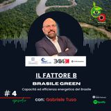 #4 Capacità ed efficienza energetica del Brasile - Gabriele Tusa, Tusa Advogados