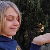 #Sangiovanniinpersiceto Bombi colorati