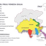 Coordinate storiche e territoriali del vino friulano
