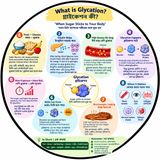 EP-319| Glycation: When Sugar Sticks to Your Body | গ্লাইকেশন: যখন চিনি শরীরের সঙ্গে আটকে যায়| wellness podcast