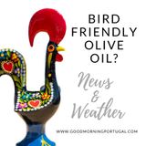 A Campaign for Bird-friendly Olive Oil?