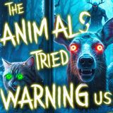 The DARK Truth About Animal Instincts
