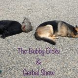 Episode 26 - Bobby Dicks & The Gerbal: One and One is Three