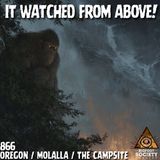Eight Feet of Fury: Oregon’s Sasquatch Strikes