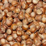 Nocciole: energia, sazietà e nutrienti preziosi per cervello e pelle