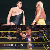 Hulk Hogan Passes and Slammiversary Recap