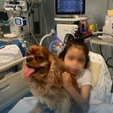 “Qua la zampa” in corsia: cuccioli benvenuti al San Bortolo dai loro piccoli padroni malati