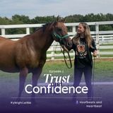 Building Trust and Confidence with your Horse -Episode 1-