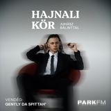 Gently Da Spittah’: Sokkal jobban megbízom magamban, amikor van egy társam | Park FM – Hajnali Kör