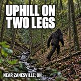 They Mocked Bigfoot at Salt Fork. Then Rocks Came Out of the Dark.