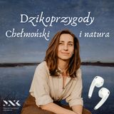 Dzikoprzygody x Chełmoński w Muzeum Narodowym w Krakowie
