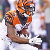 Locked on Bengals - Lapham on Ross, Zampese and the offense
