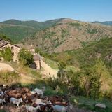 Emission Occitana : La vida en Cevenas per lo Cors Colette