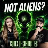 Interdimensional Entities, OBEs & Hidden Reality: Angels, Demons & The Thinning Veil