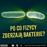 Czy powstanie Wielki Zderzacz Bakterii? | dr Jonasz Słomka