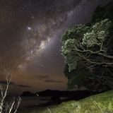 371E-405-Kiwi Nights