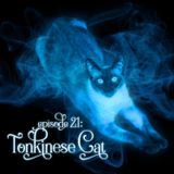 Episode 21: Tonkinese Cat