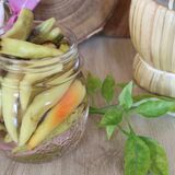 PEPERONCINI INTERI SOTT'ACETO