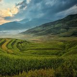 FAO: “Per proteggere ambiente e salute serve un uso efficiente dell’azoto”