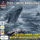 Odcinek 233 - Śmierć na Bałtyku, śmierć humbaka Timmy a wojna