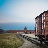 Non è una gita, ma un viaggio della Memoria