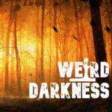 “THE NEVERGLADES MYSTERIES: 03, REMEMBER ME” by David Farrow #WeirdDarkness