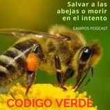 1.- Salvar a las abejas o morir en el intento.