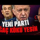 TAYYİP YENİ PARTİ AĞAÇ KÖKÜ YESİN