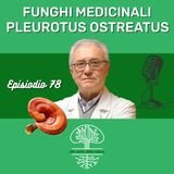 Funghi Medicinali: PLEUROTUS OSTREATUS