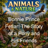 Bonnie Prince Fetlar The Story of a Pony and His Friends - Marshall Saunders