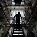 The prison system isn't 'broken'—it's designed to traumatize Black people en masse