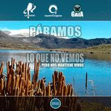 NUESTRO OXÍGENO Páramos, lo que no vemos, pero nos mantiene vivos