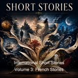 International Short Stories Volume 3 French Stories - Francis J Reynolds Various - Part 2