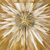 Bertoia Dandelions