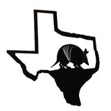 Texas Today- Episode 1: SB1 Voting Bill