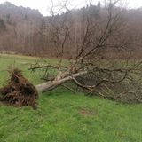 Allerta meteo: ancora vento forte da oggi e fino a mercoledì sera