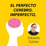 El perfecto cerebro, imperfecto, Eduardo Calixto