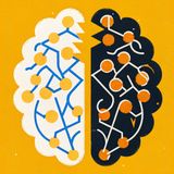 The Hidden Cost of Alcohol and Stress on Brain Health