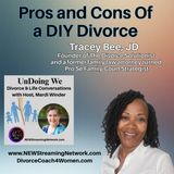 Pros and Cons Of a DIY Divorce with Guest Tracey Bee JD